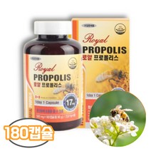 프로폴리스 180캡슐 6개월분 캐나다산 가성비 프로폴리스