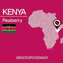 케냐원두 커피 즈카페 피베리 200g 핸드드립 세일즈카페def799, MMSg_아주곱게분쇄-에스프레소 머신(E)