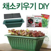 [딜]베란다에서 간편하게~채소키우기! 채소DIY세트, 채소키우기(DIY-대-화이트) 적치마상추