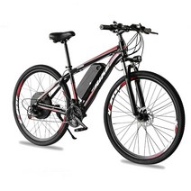 FRIKE 29인치 변속 전기자전거 48V 1000W PAS 스로틀 겸용 리튬전지 MTB자전거 88E6, 블랙+블루
