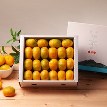 깨비농원 제주 하우스감귤 선물세트, 1box, 하우스귤 선물세트 3kg