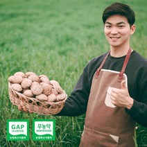 [산지직송] 미트아울렛 생표고버섯 친환경 국산 무농약 참나무 배지, 생표고 파지 1kg