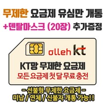 은우텔레콤 KT무제한요금제 선불유심개통, 1개, 선불데이터안심300