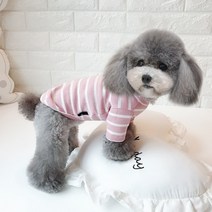 투미 강아지 옷 모음 데일리룩 티셔츠 맨투맨 스트라이프 기본티 실내복 애견 반려견옷 생일선물, 네이비