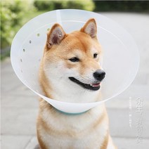 강아지 고양이 플라스틱 해바라기 넥카라 링 헤드 커버 핥기 물림 방지, D04 목둘레 24~38cm개