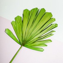 야자수 잎 디퓨저 스틱