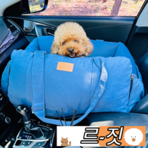 강아지 카시트 루시 푹신하고 안전한 명품 시트 애쉬블루 L(대)