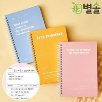 공부습관 기르기 중고등학생 공부 계획표 스터디플래너, 민트