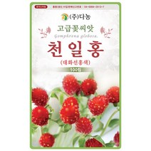 설악초 20립 - 초설초 야광초 야생화 씨앗 꽃씨 씨 꽃씨앗 야생화씨앗 고급꽃씨 고급꽃씨앗, 14_다농_천일홍(대화선홍색)(100립)