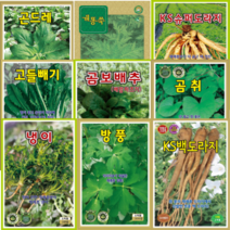 개똥쑥씨앗 고들빼기씨앗 곤드레씨앗 곰보배추씨앗 곰취씨앗 냉이씨앗 방풍씨앗 백하수오씨앗 백화민들레씨앗 신선초씨앗 인삼씨앗 일당귀씨앗 잔대씨앗 취나물씨앗 황기씨앗 더덕씨앗 도라지씨앗, 곤드레(100립)