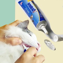 바르는 치약 고양이 구강 염증 예방 아깽이 노묘 추천 자이목스 오 라틴 안티셉틱 오럴 젤 물에 타 마시는 드링킹워터, 투스페이스트 젤 70g, 1개