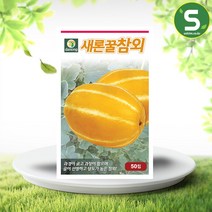 식용박 씨앗 10립 - 박씨앗 박씨 식용씨앗 박 야채씨앗 채소씨앗 채소재배 종묘 종자 베란다 텃밭 씨 씨앗 오이 호박 방울토마토 수박, 20_다농_새론꿀 참외(50립)