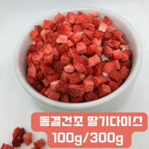 딸기다이스 건조딸기다이스 동결건조딸기다이스 건딸기 건조딸기 과일분말 빼빼로만들기 베이킹딸기가루 딸기가니쉬 딸기건조다이스, 1팩, 300g