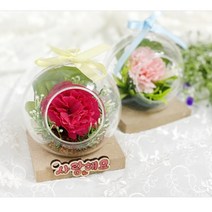 어린이집 어버이날 카네이션만들기 테라리움 TA2217 어르신 초등 유아 미술 DIY KIT 반려식물 친환경만들기 스칸디아모스