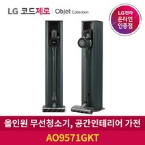 LG전자 코드제로 A9S 오브제컬렉션 올인원타워 무선청소기 AO9571GKT