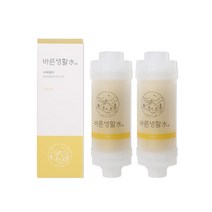 바른생활수 녹물 염소 제거 비타민 샤워필터, 레몬 x 2개