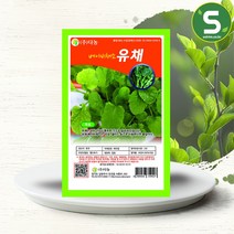 솔림텃밭몰 베이비유채씨앗 10g 베이비채소 유채씨앗 베이비유채, 단품