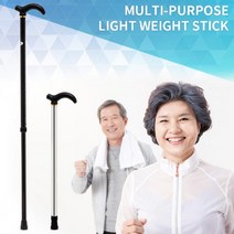 (블랙) 부모님 효도선물 초경량 지팡이 어르신 지팡이 노인용 보조기구 실버용품