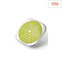 어디나 해바라기헤드 정사각 모던 그린