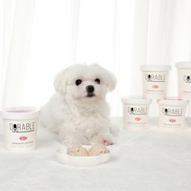 도러블 펫 아이스크림 120ml 세트 소형견 중형견 강아지 간식, 딸기 4개