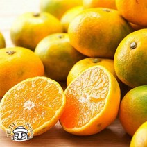서귀포 하례마을 하우스감귤 2kg (소과 실중량), 단품