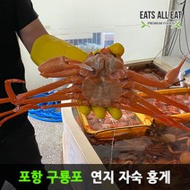 이츠올릿 포항 구룡포 연지 자숙 홍게 3kg 주문진 영덕 홍개 속초 포항 박달 대게, 1개