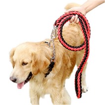 선데이몽키 세트(목줄+리드줄) 대형견 중형견 개줄 체인 산책줄, 그린/네이비 S