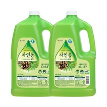 자연퐁 찌든때걱정없는솔잎 주방세제 용기 4kg x 2개, 단품