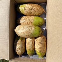 (15kg/Box) 국내산 무 식자재 KOREAN RADISH, 15kg, 1개