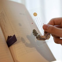 사계 계절 테마 문학 문구 투명 책갈피 시 소설 시즌2 4옵션 [Literature Bookmark Theme by Seasons ver.2 in Korean 4 Options], 여름(Summer)