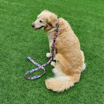 [퍼피니스] (XS-L) 소형견 중형견 대형견 스테인드글라스 목줄 & 리드줄(1.5m) 세트, M