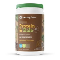 어메이징그라스 Amazing Grass Protein & Kale Powder 어메이징 그라스 프로틴 케일 파우더 초코맛 555g, 1세트, 1세트