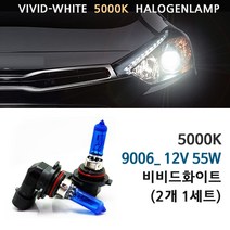 5000K 비비드화이트 현대 베라크루즈 06-15년 전조등 상향등 하향등 안개등 자동차램프, 5000K 베라크루즈 안개등 9006(HB4)(2개1세트), 1세트