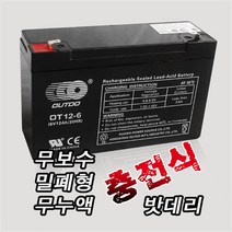 싸파 무보수 밀폐형 무누액 충전식 밧데리 6V 12AH/밧데리, 단품없음, 1개