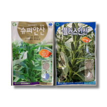 코팅 참깨씨앗 슈퍼안산/안산/흑깨/수지참깨/설향참깨 최신포장 3000립, 슈퍼안산참깨