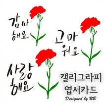 어버이날 카드 캘리그라피 카네이션 3종 엽서 감사 5월 스승의날 가정의달 어린이집 유치원, 감사해요