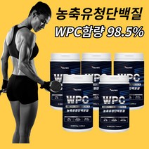 다이어트 프로틴 500g 5개 단백질 쉐이크 보충제 분말 가루 아미노산 류신 프로테인 아침 헬스 운동후 가슴 근육 벌크업 복합 mbp 유단백 추출물 농축 유청 레시틴 여자 남자