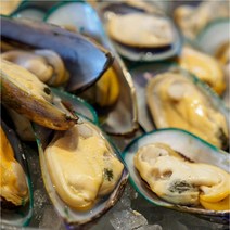 뉴질랜드 초록입홍합 냉동 자숙그린홍합 800g, 1개