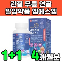 일양약품 조인트 nsm 디메틸설폰 엠에스엔 엠에스엠 무릎 무릅 연골 뼈 관절 글루코사민 관절에 연골에 허리에 무릎에 좋은 영양제 비타민D 중년 50대 60대 노인 여성 여자 추천, 2박스(4개월분)
