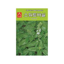 [한국원예자재] 스위트 바실 씨앗 (바질)