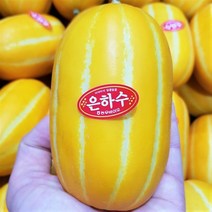 [신선15데이] [못난이농산물] 성주 참외 못난이 혼합과 (1kg/3kg/5kg/10kg) 골라담기 (업체별도, 1. 성주참외(못난이) 혼합과 1kg