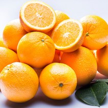 오렌지씨 네이블 오렌지 20개입(230g내외) 중대, 230g내외, 단품없음
