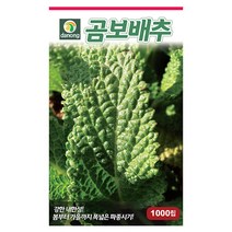 두메 부추 100립 부추씨앗 부추씨 야채씨 야채씨앗 채소씨 채소씨앗, 09_다농_곰보 배추(1000립)