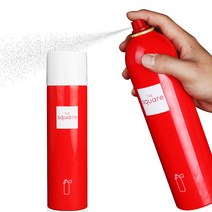 차량용 휴대용 소화기스프레이, 2개