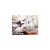 냉동활쭈꾸미(태국산) 4kg(1kgx4팩) 주꾸미, 단품