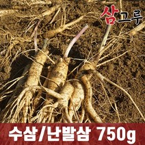 금산인삼 5년근 6년근 수삼 난발삼 원수삼 세척무료 750g 1채, 일반-난발 중 750g 12-15뿌리