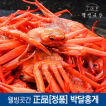 박달홍게 산지직송 자숙 제철 속초 울진 프리미엄 홍게라면 홍게시세 수율보장 3kg, [특 A급] 수율보장 홍게 3KG 10미 내외