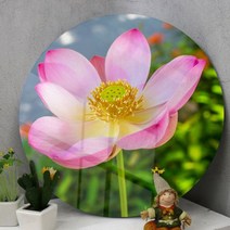 꾸밈데코_원형전면아크릴코팅액자_수려한연꽃(ie083)_라운드액자인테리어액자벽장식월데코벽걸이액자, 이미지2