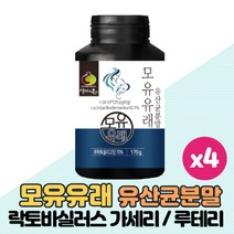 모유유래 유산균 분말 가루 모유유산균 락토바실러스 가세리 루테리 퍼멘텀 스페인특허 1000억 유산균 원료사용 프리미엄 생유산균 함유, 170g x 4통