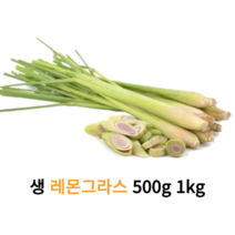 신선한 레몬그라스 500g 1kg 10kg 대용량 업소용 생 레몬그라스 똠양꿍재료 태국요리재료 다카이 다까이 태국샤 아시안푸드, 1개